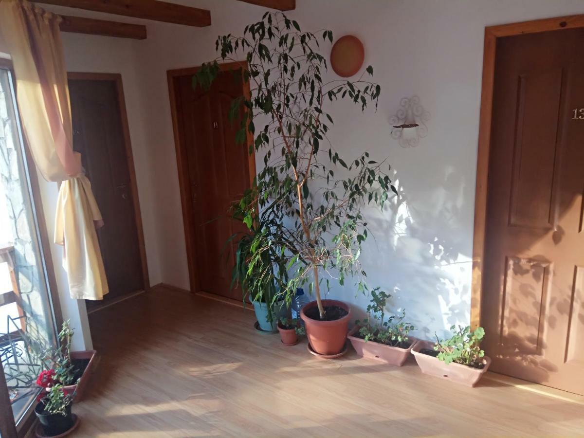 فندق Casa Alexandru أَزوغا المظهر الخارجي الصورة